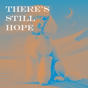 Kl v[h     NbVJo[ 45×45cm Aj}   NbV{̕t ` t@