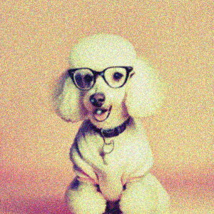 ���K�l �v�[�h�� �s���N�̔w�i ���̕� �N�b�V�����J�o�[ 45×45cm �A�j�}���� ������� ���� �N�b�V�����{�̕t�� �����` ���t�@��