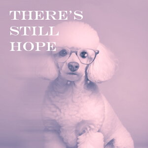 Kl v[h eLXg  NbVJo[ 45×45cm Aj}  NbV{̕t ` t@