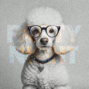 ዾ v[h n[g̃^O NbVJo[ 45×45cm Aj}   NbV{̕t ` t@