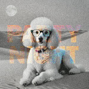 ዾ v[h p[eB[  Kl NbVJo[ 45×45cm Aj}   NbV{̕t ` t@