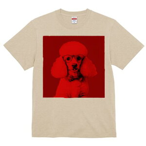 TVc Y LbY t@  t  vg JWA 킢 lԗp tBbglX _X ዾ v[h lN^C ԐF