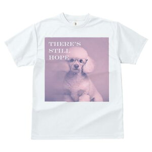 TVc Y LbY t@  t  vg JWA 킢 lԗp tBbglX _X Kl v[h eLXg 