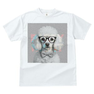 TVc Y LbY t@  t  vg JWA 킢 lԗp tBbglX _X Kl v[h {E^C 