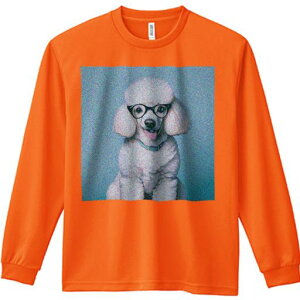 TVc lԗp Y Ht vg W[ AEghA JWA 킢 t@ Kl v[h 