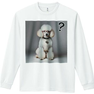 TVc lԗp Y Ht vg W[ AEghA JWA 킢 t@ Kl v[h NGX`}[N