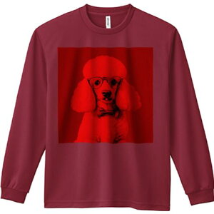 TVc lԗp Y Ht vg W[ AEghA JWA 킢 t@ ዾ v[h lN^C ԐF