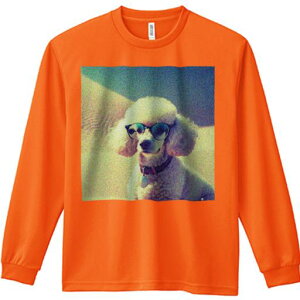 TVc lԗp Y Ht vg W[ AEghA JWA 킢 t@  v[h Kl 