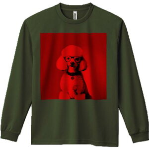 TVc lԗp Y Ht vg W[ AEghA JWA 킢 t@ Kl v[h ԐF  