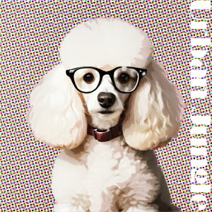 Kl v[h |bvA[g Jt  NbVJo[ 45×45cm Aj}  NbV{̕t ` t@