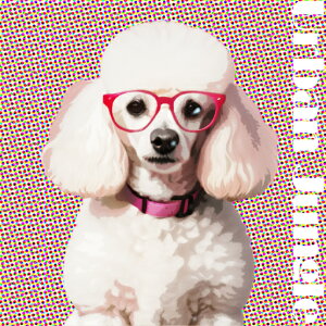 Kl v[h |bvA[g ʔ NbVJo[ 45×45cm Aj}   NbV{̕t ` t@