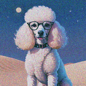 Kl v[h    NbVJo[ 45×45cm Aj}   NbV{̕t ` t@