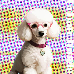 Kl v[h n[g̃y_g JtȔwi NbVJo[ 45×45cm Aj}   NbV{̕t ` t@