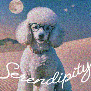 Kl v[h    TOX NbVJo[ 45×45cm Aj}   NbV{̕t ` t@