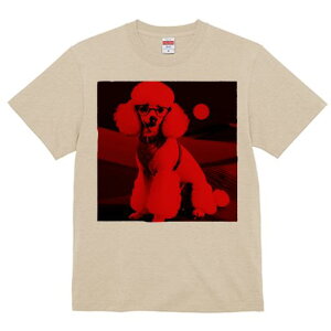 TVc Y LbY t@  t  vg JWA 킢 lԗp tBbglX _X Kl v[h g~O h ԐF |bv