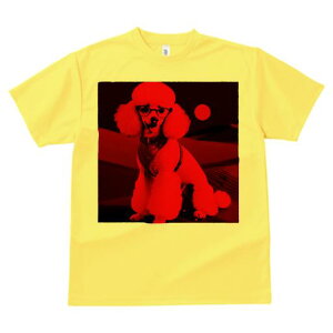 TVc Y LbY t@  t  vg JWA 킢 lԗp tBbglX _X Kl v[h g~O h ԐF |bv