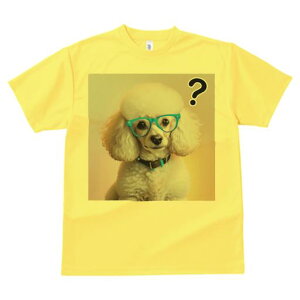 TVc Y LbY t@  t  vg JWA 킢 lԗp tBbglX _X Kl v[h }[N wi