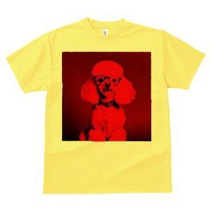 TVc Y LbY t@  t  vg JWA 킢 lԗp tBbglX _X ԐF v[h Kl ʔ