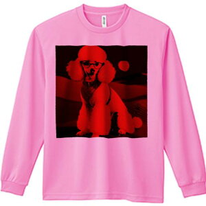 TVc lԗp Y Ht vg W[ AEghA JWA 킢 t@ Kl v[h g~O h ԐF |bv