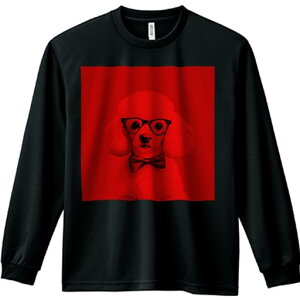 TVc lԗp Y Ht vg W[ AEghA JWA 킢 t@ Kl v[h lN^C 