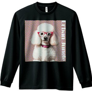 TVc lԗp Y Ht vg W[ AEghA JWA 킢 t@ Kl v[h |bvA[g ʔ