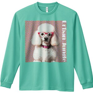 TVc lԗp Y Ht vg W[ AEghA JWA 킢 t@ Kl v[h |bvA[g ʔ