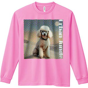 TVc lԗp Y Ht vg W[ AEghA JWA 킢 t@ Kl v[h |bvA[g  ̃CXg Jt