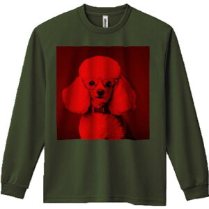 TVc lԗp Y Ht vg W[ AEghA JWA 킢 t@ Kl v[h bhtB^[