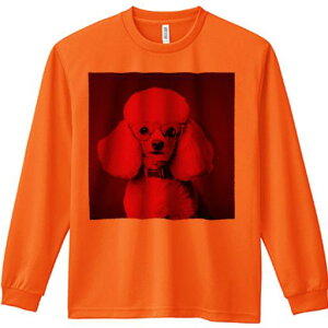 TVc lԗp Y Ht vg W[ AEghA JWA 킢 t@ Kl v[h bhtB^[