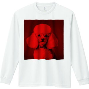 TVc lԗp Y Ht vg W[ AEghA JWA 킢 t@ Kl v[h bhtB^[