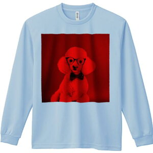 TVc lԗp Y Ht vg W[ AEghA JWA 킢 t@ Kl v[h lN^C ԐFwi