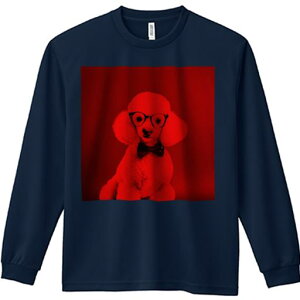 TVc lԗp Y Ht vg W[ AEghA JWA 킢 t@ Kl v[h lN^C ԐFwi