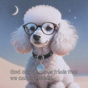 ዾ v[h    NbVJo[ 45×45cm Aj}   NbV{̕t ` t@