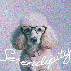 ዾ v[h  ZfBseB NbVJo[ 45×45cm Aj}   NbV{̕t ` t@