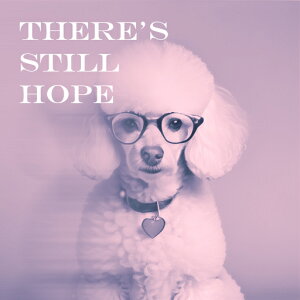 ዾ v[h n[g̃lbNX NbVJo[ 45×45cm Aj}   NbV{̕t ` t@