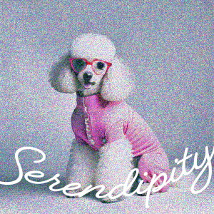 ߂ v[h m Jt eLXg 킢 NbVJo[ 45×45cm Aj}   NbV{̕t ` t@