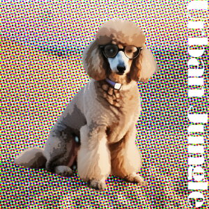 Kl v[h JtȔwi NbVJo[ 45×45cm Aj}   NbV{̕t ` t@