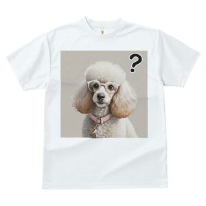 TVc Y LbY t@  t  vg JWA 킢 lԗp tBbglX _X Kl v[h  NGX`}[N