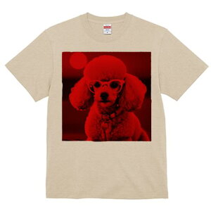 TVc Y LbY t@  t  vg JWA 킢 lԗp tBbglX _X Kl v[h 