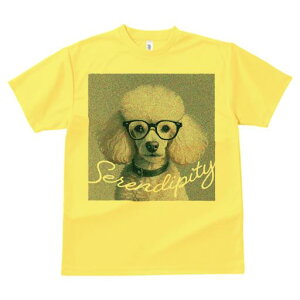 TVc Y LbY t@  t  vg JWA 킢 lԗp tBbglX _X Kl v[h S[O ZfBseB \tgtH[JX O[wi