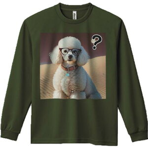 TVc lԗp Y Ht vg W[ AEghA JWA 킢 t@ u v[h Kl  obW ^╄