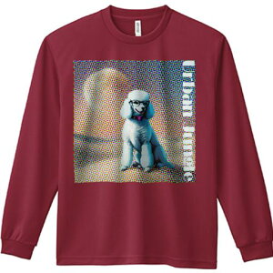 TVc lԗp Y Ht vg W[ AEghA JWA 킢 t@ Kl v[h |bvA[g 邢F