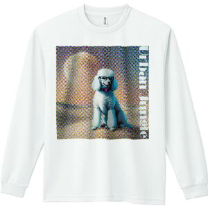 TVc lԗp Y Ht vg W[ AEghA JWA 킢 t@ Kl v[h |bvA[g 邢F