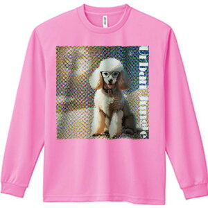 TVc lԗp Y Ht vg W[ AEghA JWA 킢 t@ Kl v[h |bvA[g hbg