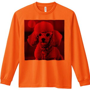 TVc lԗp Y Ht vg W[ AEghA JWA 킢 t@ Kl v[h 