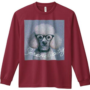 TVc lԗp Y Ht vg W[ AEghA JWA 킢 t@ Kl v[h S[O ZfBseB \tgtH[JX O[wi