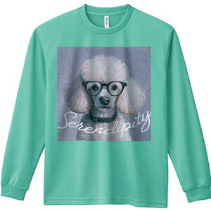 TVc lԗp Y Ht vg W[ AEghA JWA 킢 t@ Kl v[h S[O ZfBseB \tgtH[JX O[wi