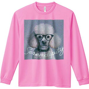 TVc lԗp Y Ht vg W[ AEghA JWA 킢 t@ Kl v[h S[O ZfBseB \tgtH[JX O[wi