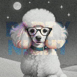 p[eB[ v[h Kl   NbVJo[ 45×45cm Aj}   NbV{̕t ` t@