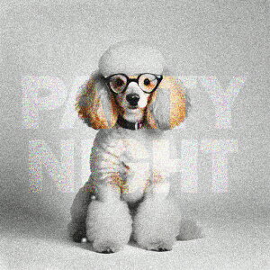 Kl v[h p[eB[ eLXg NbVJo[ 45×45cm Aj}   NbV{̕t ` t@